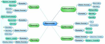Flavonoids as Prospective Neuroprotectants and Their Therapeutic Propensity in Aging Associated Neurological Disorders